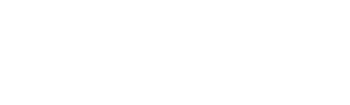 light logo